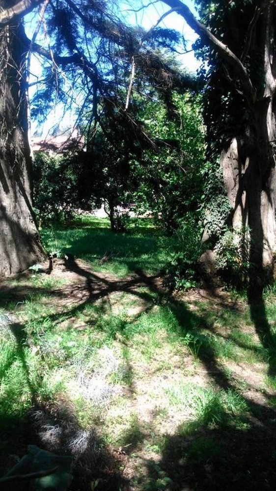 Земельный участок в Мар-дель-Плата, Аргентина № 110702