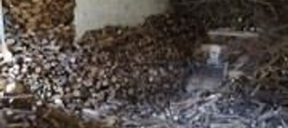 Studio in Montesegale, Italy, Nr. 58915 6