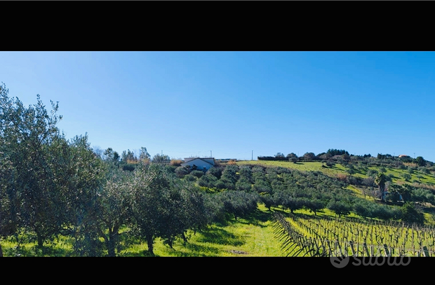  قطعة أرض في San Cipirello, Italy 7700متر مربع رقم 281281