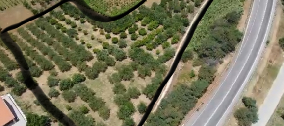 قطعة أرض في San Cipirello, Italy 7700متر مربع رقم 281281 3