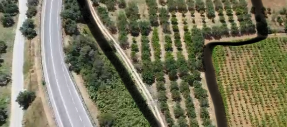 قطعة أرض في San Cipirello, Italy 7700متر مربع رقم 281281 2