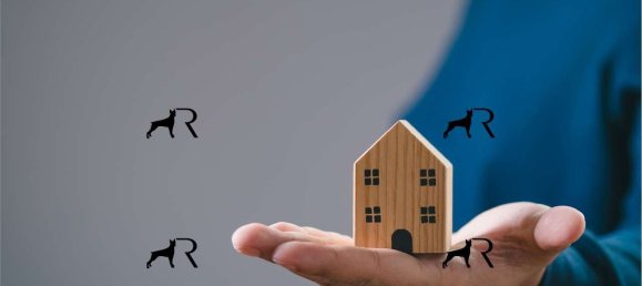 Terreno em Caino, Italy N.º 363456 4