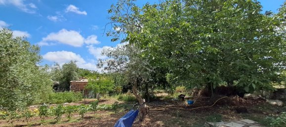 6 rooms Villa in Noto, Italy No. 264117 14