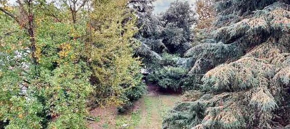 3 Schlafzimmer Villa in Treviso, Italy, Nr. 370636 4