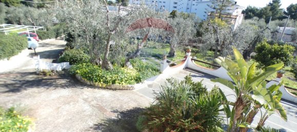 Casa de 11 dormitorios en Vieste, Italy No. 326845 33