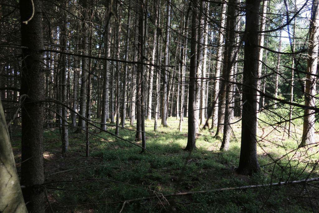 32130m² Land in Dingolfing-Landau, Germany No. 314620