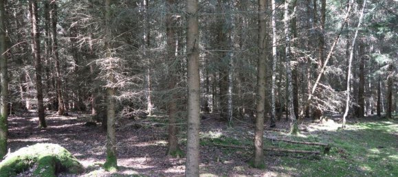 32130m² Land in Dingolfing-Landau, Germany No. 314620 2