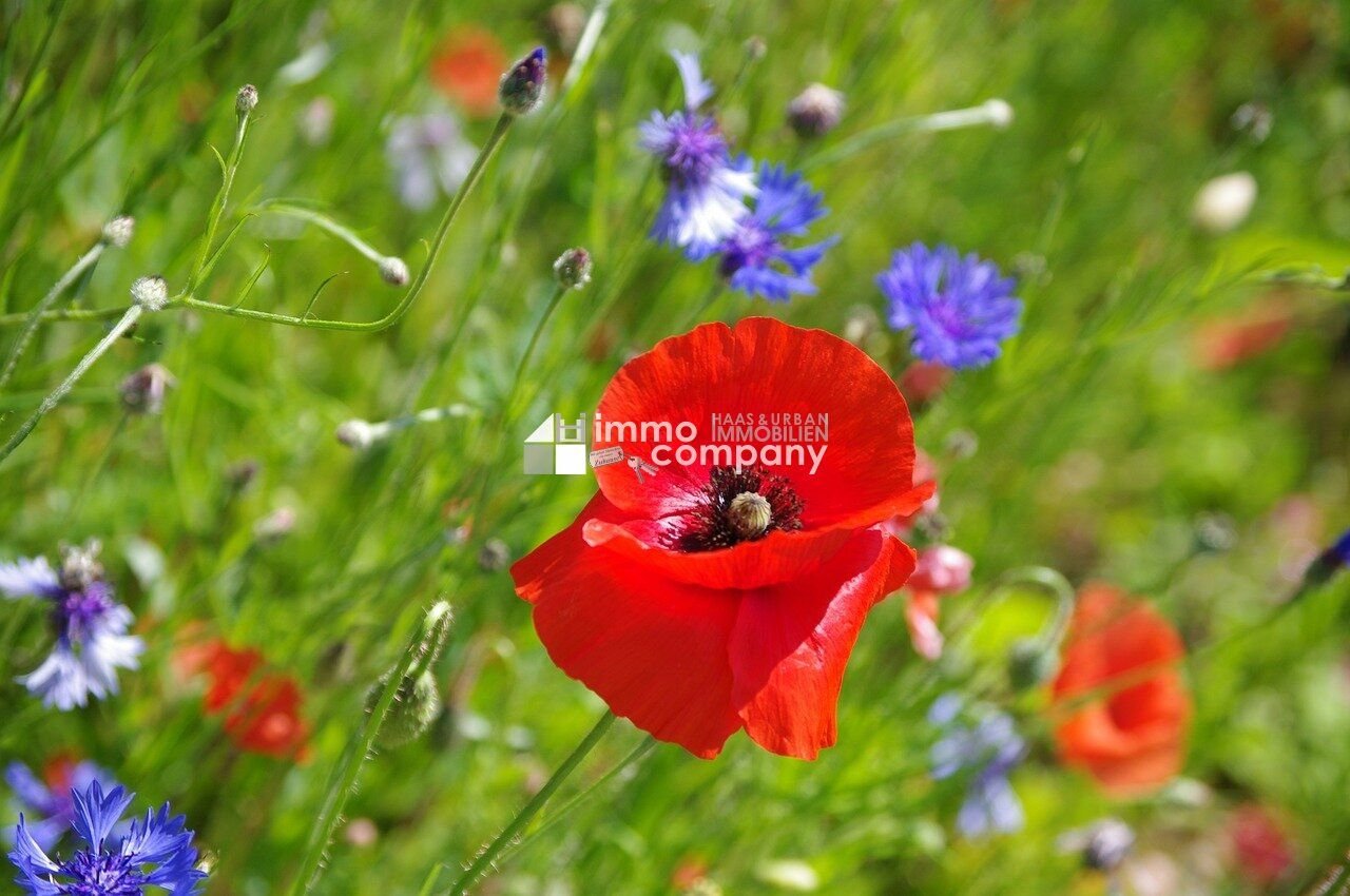  قطعة أرض في Hohenau an der March, Austria 608متر مربع رقم 49053