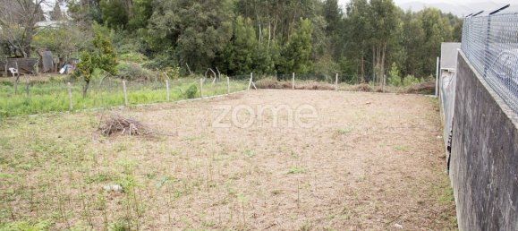 9 bedrooms House in Sao Joao da Madeira, Portugal No. 24205 23