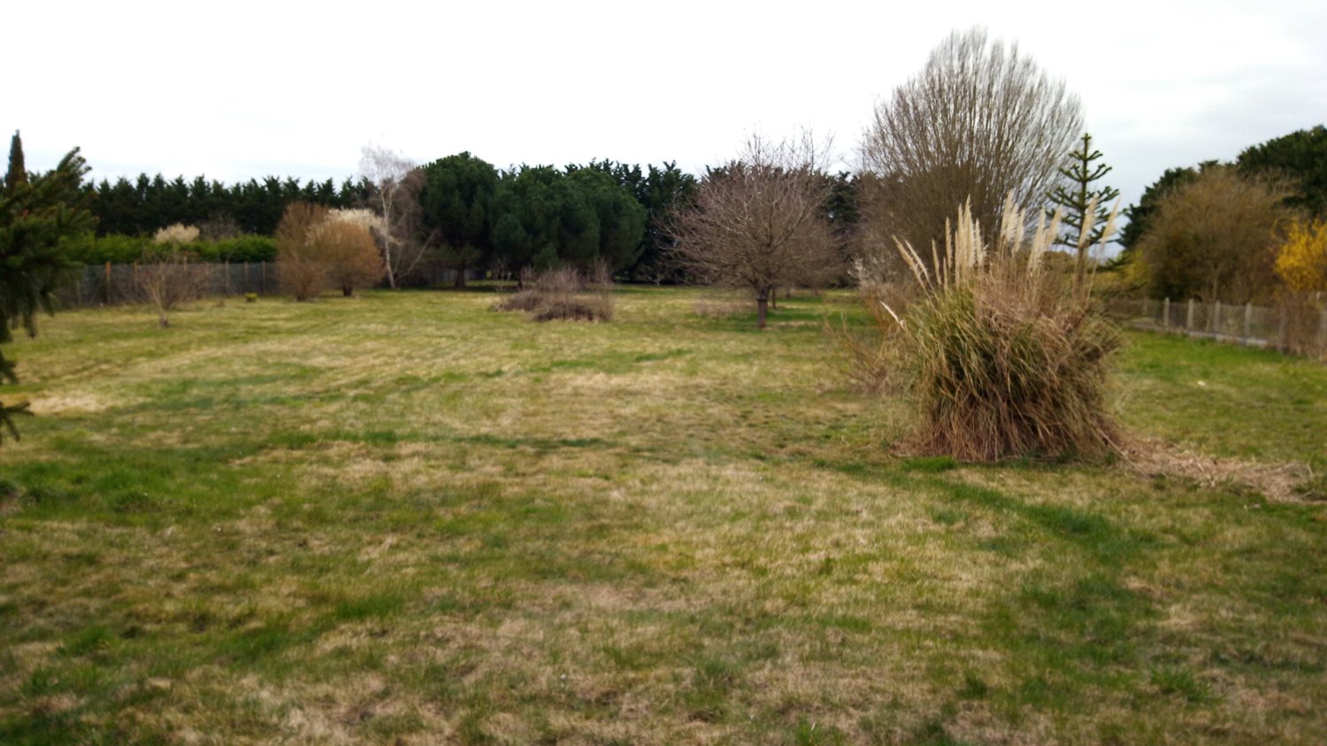  Land in Nancray-sur-Rimarde, France No. 89647