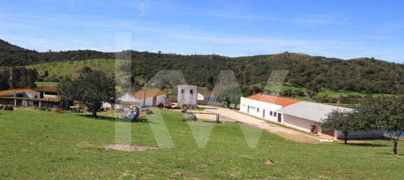  Castillos de 9 dormitorios en Sao Bartolomeu de Messines, Portugal No. 57616 8