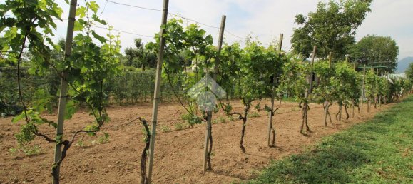 Terrain à Bergamo, Italy 1400m² No. 114765 10