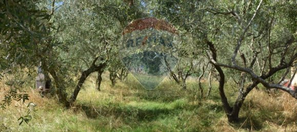 3 Schlafzimmer Villa in Castel di Sasso, Italy, Nr. 270463 10