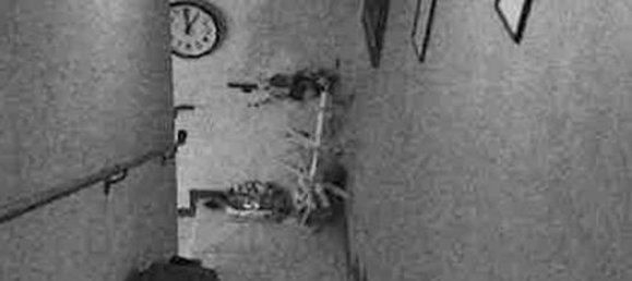 6-salle Maison à San Giorgio delle Pertiche, Italy No. 299603 25