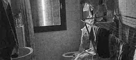 6-salle Maison à San Giorgio delle Pertiche, Italy No. 299603 28