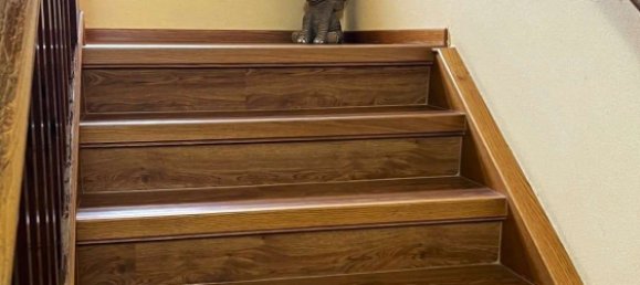 Apartamento T1 em Mittelsachsen, Germany N.º 279228 12