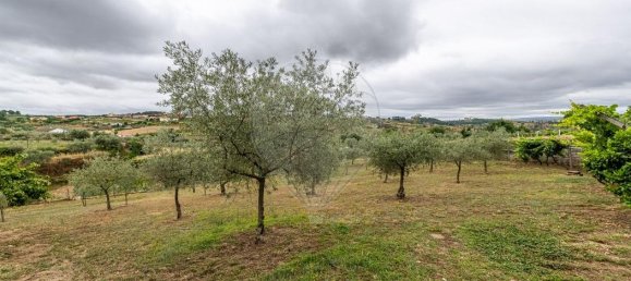 5 Schlafzimmer Haus in Murca, Portugal, Nr. 165653 27