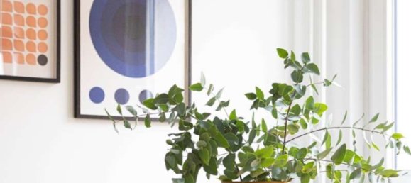 2 bedrooms Apartment in Mitte, Germany No. 248932 10