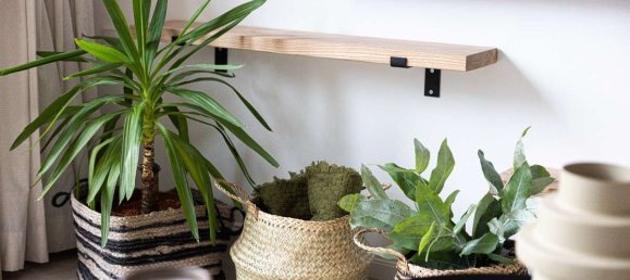 2 bedrooms Apartment in Mitte, Germany No. 248932 19