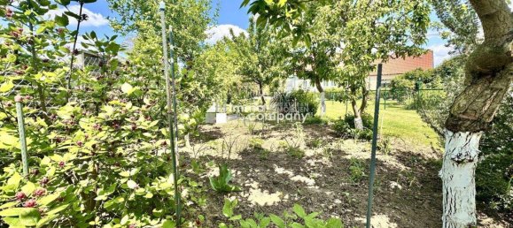 Дом с 5 комнатами в Шёнкирхен-Рейерсдорф, Австрия № 138210 4