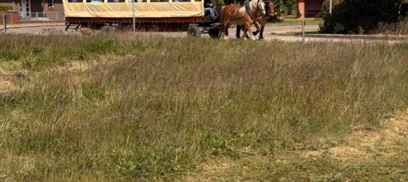  Land in Prignitz, Germany No. 329654 3