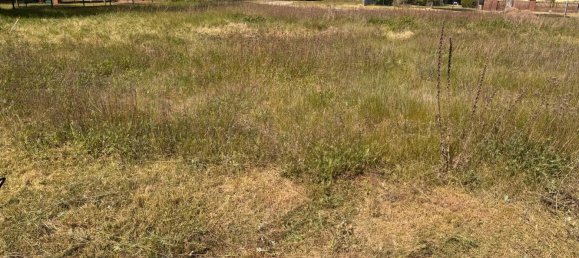  Land in Prignitz, Germany No. 329654 4