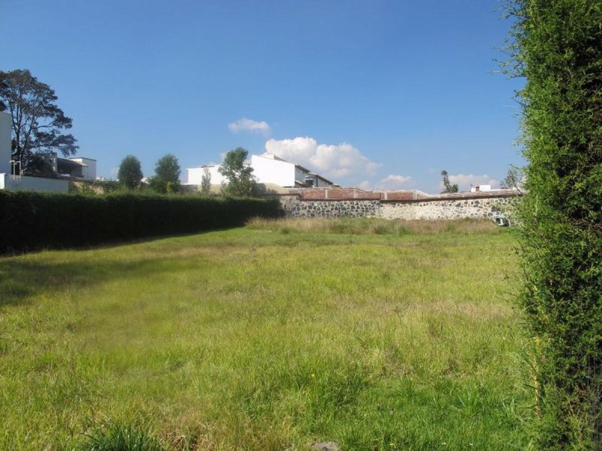 Terrain à Lerma, Mexico No. 205885