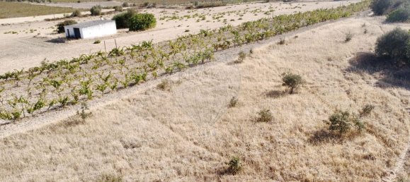 3 bedrooms House in Reguengos de Monsaraz, Portugal No. 35530 49