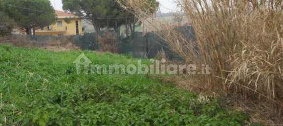 5 rooms Warehouse in Coriano, Italy No. 224407 4