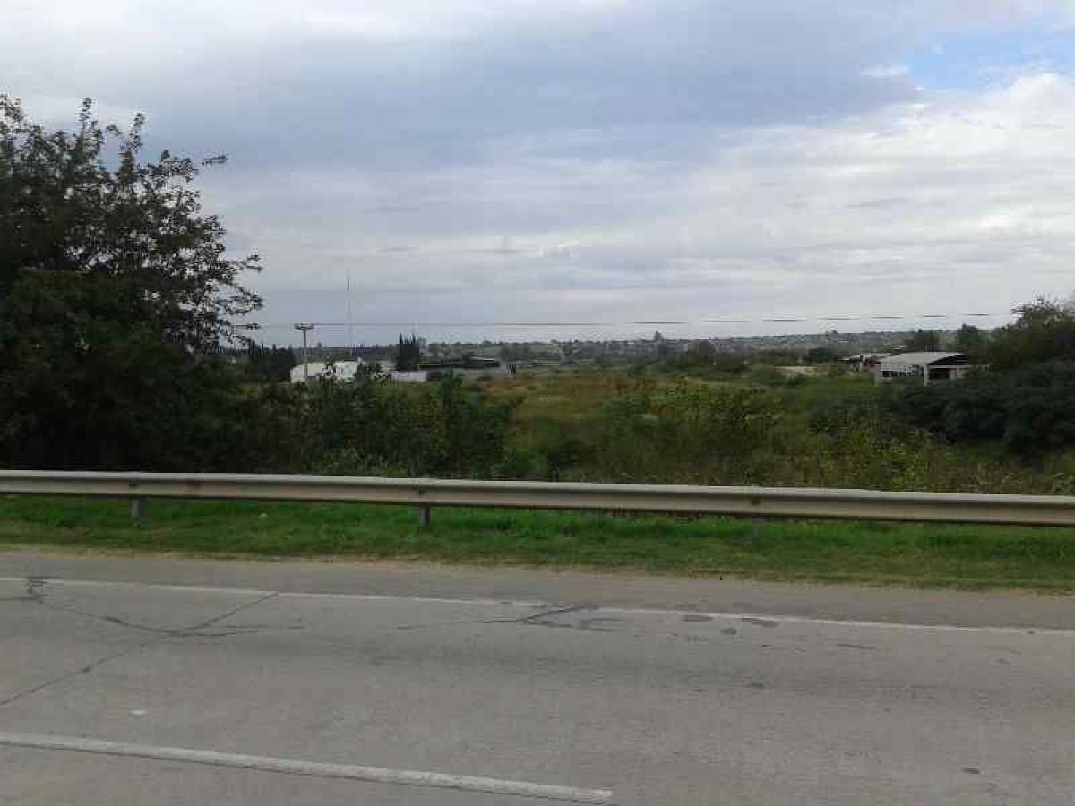  Land in Cordoba, Argentina No. 41758