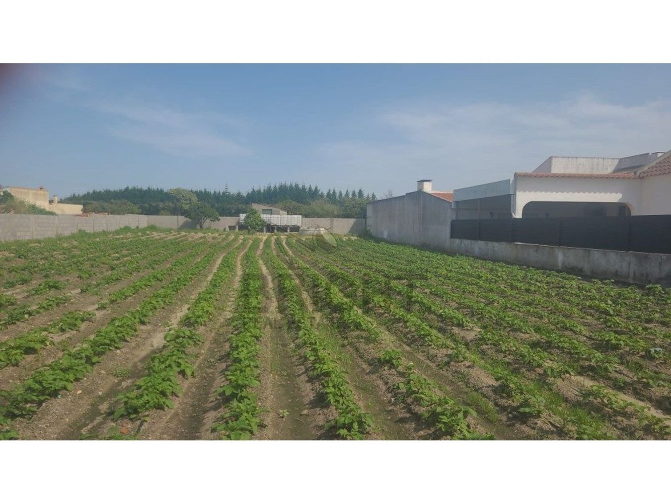 Grundstück in Salvaterra de Magos, Portugal, Nr. 190407