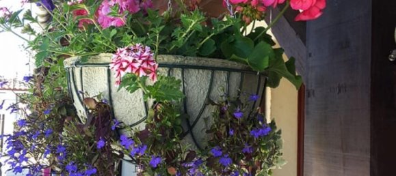 5 bedrooms Office in Angouleme, France No. 37945 6