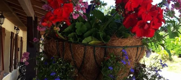 5 bedrooms Office in Angouleme, France No. 37945 4