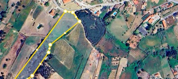 13820m² Land in Cartaxo, Portugal No. 88980 12