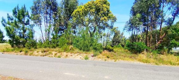 13820m² Land in Cartaxo, Portugal No. 88980 5