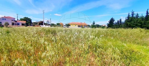 13820m² Land in Cartaxo, Portugal No. 88980 10