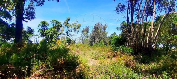 13820m² Land in Cartaxo, Portugal No. 88980 3