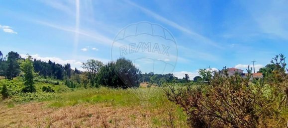 13820m² Land in Cartaxo, Portugal No. 88980 7
