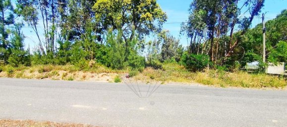 13820m² Land in Cartaxo, Portugal No. 88980 11