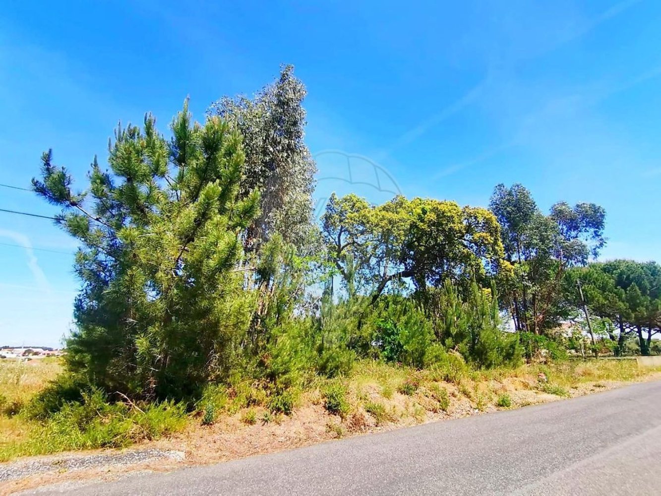 13820m² Land in Cartaxo, Portugal No. 88980