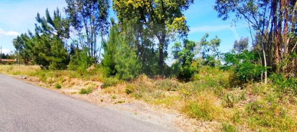 13820m² Land in Cartaxo, Portugal No. 88980 2
