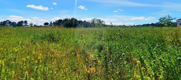 13820m² Land in Cartaxo, Portugal No. 88980 8