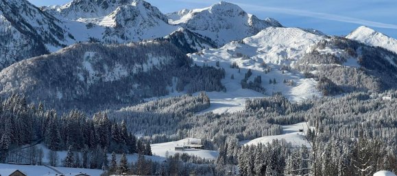 4 Schlafzimmer Haus in Hochfilzen, Austria, Nr. 78736 23