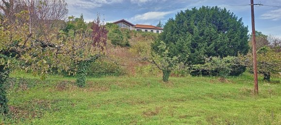 1800m² Land in Saint-Pierre-de-Boeuf, France No. 196196 3