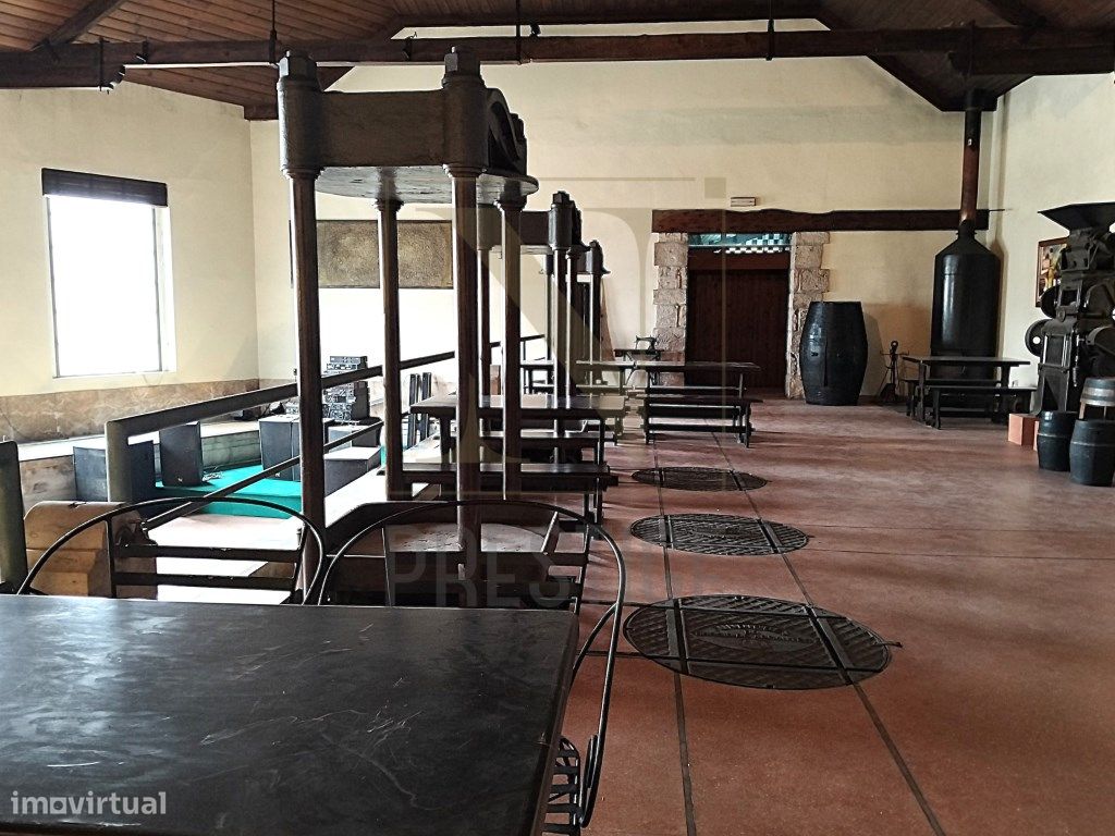 Gewerbliche Immobilie in Coimbra, Portugal 643m², Nr. 248829