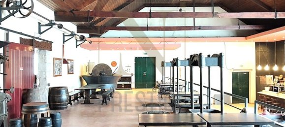 643m² Commercial property in Coimbra, Portugal No. 248829 4