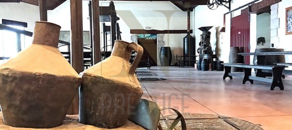 643m² Commercial property in Coimbra, Portugal No. 248829 16