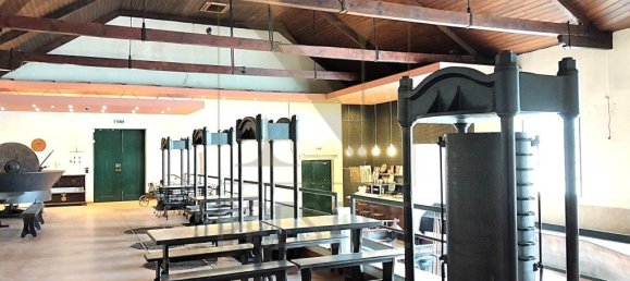 643m² Commercial property in Coimbra, Portugal No. 248829 31