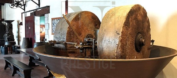 643m² Commercial property in Coimbra, Portugal No. 248829 19