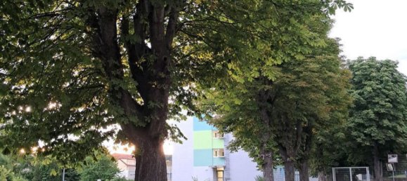 3 rooms Apartment in Pinkafeld, Austria No. 209749 3